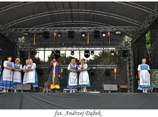 Muzyka Regionów 2013