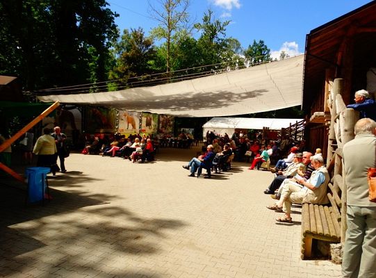 I miejsce dla LWÓW z ZPIT Ziemia Lęborska na Kaziukach (gigantyczna galeria)