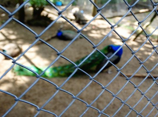 I miejsce dla LWÓW z ZPIT Ziemia Lęborska na Kaziukach (gigantyczna galeria)