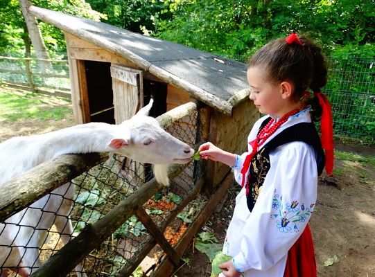 I miejsce dla LWÓW z ZPIT Ziemia Lęborska na Kaziukach (gigantyczna galeria)