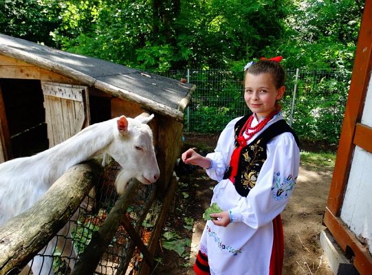 I miejsce dla LWÓW z ZPIT Ziemia Lęborska na Kaziukach (gigantyczna galeria)