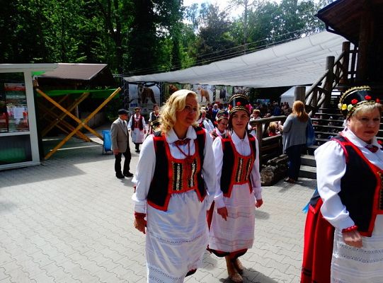 I miejsce dla LWÓW z ZPIT Ziemia Lęborska na Kaziukach (gigantyczna galeria)