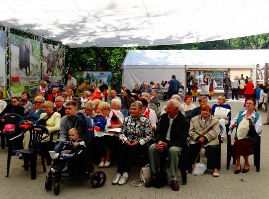 I miejsce dla LWÓW z ZPIT Ziemia Lęborska na Kaziukach (gigantyczna galeria)
