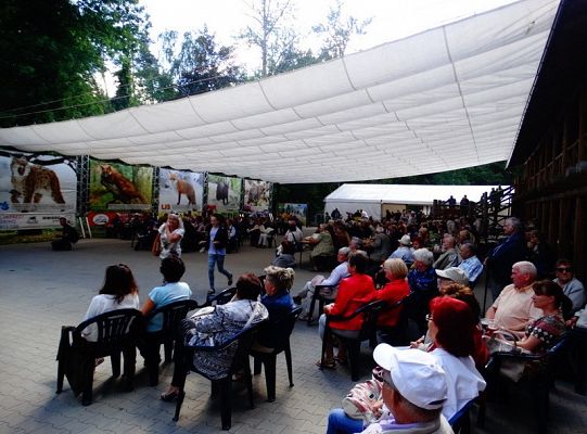 I miejsce dla LWÓW z ZPIT Ziemia Lęborska na Kaziukach (gigantyczna galeria)