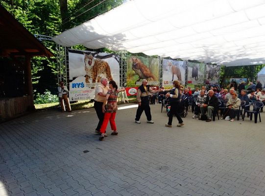 I miejsce dla LWÓW z ZPIT Ziemia Lęborska na Kaziukach (gigantyczna galeria)