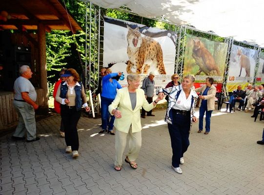 I miejsce dla LWÓW z ZPIT Ziemia Lęborska na Kaziukach (gigantyczna galeria)