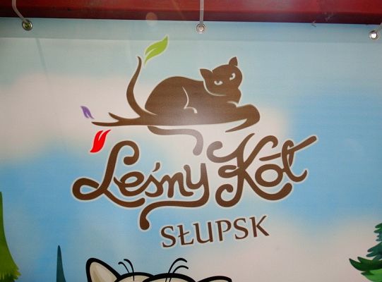 I miejsce dla LWÓW z ZPIT Ziemia Lęborska na Kaziukach (gigantyczna galeria)