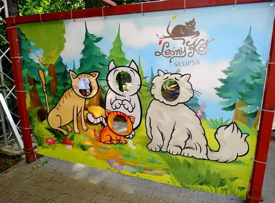 I miejsce dla LWÓW z ZPIT Ziemia Lęborska na Kaziukach (gigantyczna galeria)