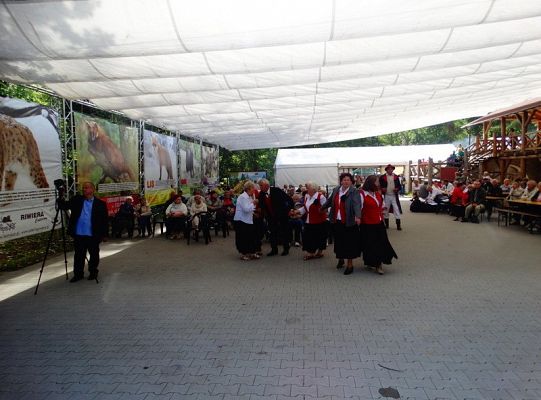 I miejsce dla LWÓW z ZPIT Ziemia Lęborska na Kaziukach (gigantyczna galeria)