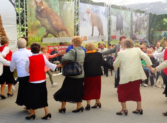 I miejsce dla LWÓW z ZPIT Ziemia Lęborska na Kaziukach (gigantyczna galeria)