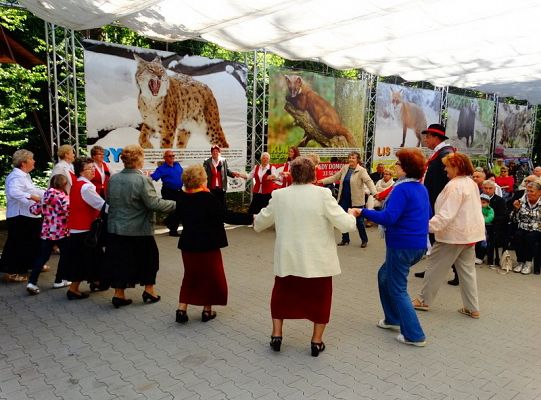 I miejsce dla LWÓW z ZPIT Ziemia Lęborska na Kaziukach (gigantyczna galeria)