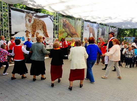 I miejsce dla LWÓW z ZPIT Ziemia Lęborska na Kaziukach (gigantyczna galeria)