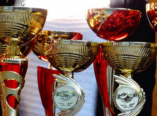 I miejsce dla LWÓW z ZPIT Ziemia Lęborska na Kaziukach (gigantyczna galeria)