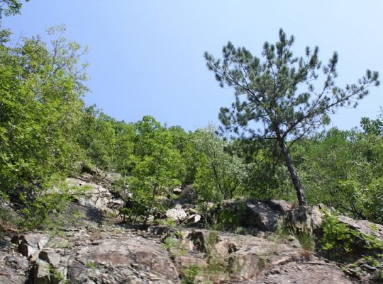 Pojedź z nami do Ohrid na Festiwal Folkloru