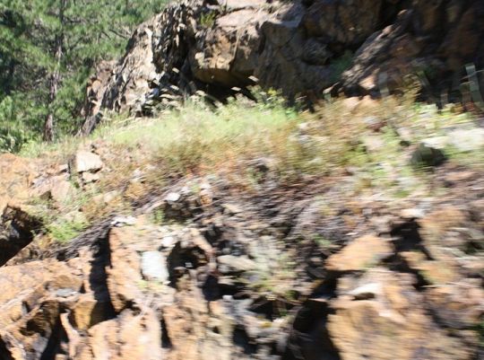 Pojedź z nami do Ohrid na Festiwal Folkloru