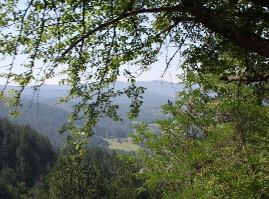 Pojedź z nami do Ohrid na Festiwal Folkloru