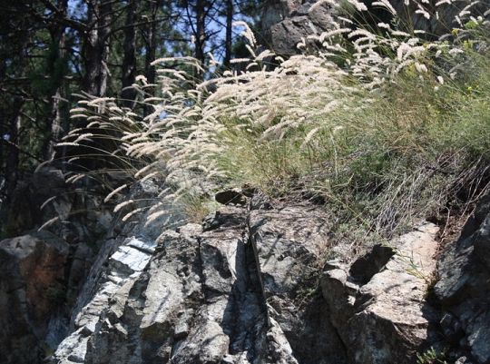 Pojedź z nami do Ohrid na Festiwal Folkloru