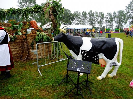 ZPiT ZL wystąpił na Dożynkach w Krępie Kaszubskiej!