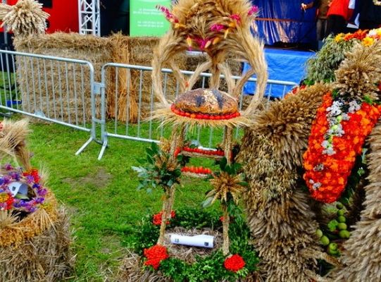 ZPiT ZL wystąpił na Dożynkach w Krępie Kaszubskiej!