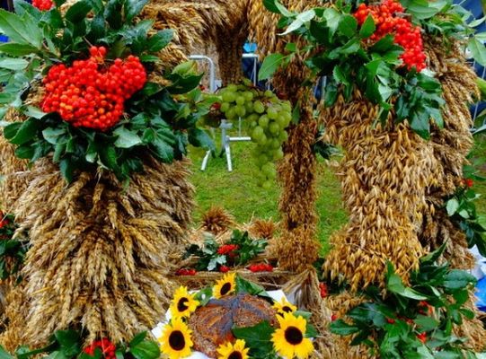 ZPiT ZL wystąpił na Dożynkach w Krępie Kaszubskiej!