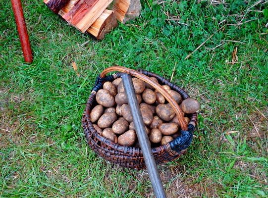 ZPiT ZL wystąpił na Dożynkach w Krępie Kaszubskiej!