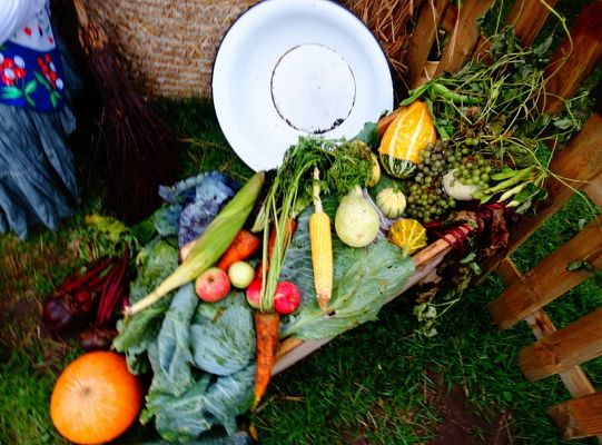 ZPiT ZL wystąpił na Dożynkach w Krępie Kaszubskiej!