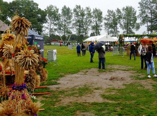 ZPiT ZL wystąpił na Dożynkach w Krępie Kaszubskiej!