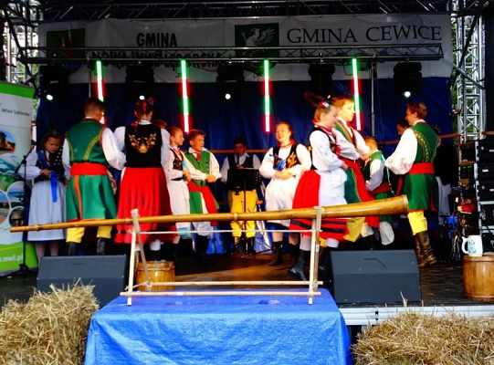 ZPiT ZL wystąpił na Dożynkach w Krępie Kaszubskiej!
