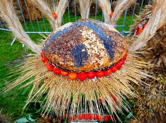 ZPiT ZL wystąpił na Dożynkach w Krępie Kaszubskiej!