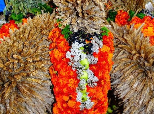 ZPiT ZL wystąpił na Dożynkach w Krępie Kaszubskiej!