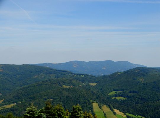 Od kolejki linowej – po tor saneczkowy!