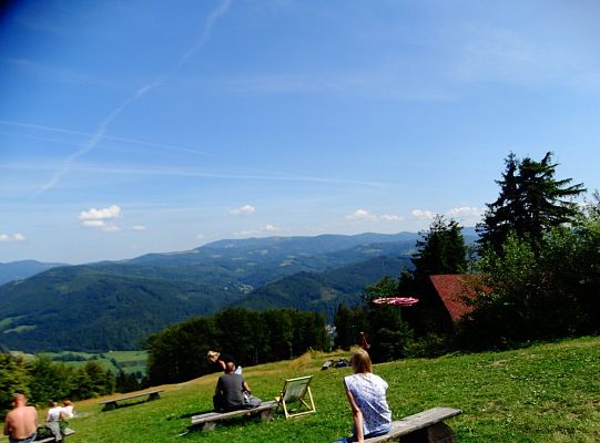 Od kolejki linowej – po tor saneczkowy!