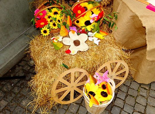 Jesteś na lęborskim „Weselu”. Dziś bawisz się razem z nami! – luka informacyjna