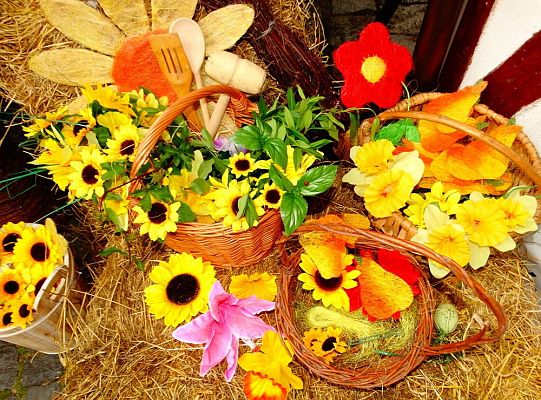 Jesteś na lęborskim „Weselu”. Dziś bawisz się razem z nami! – luka informacyjna