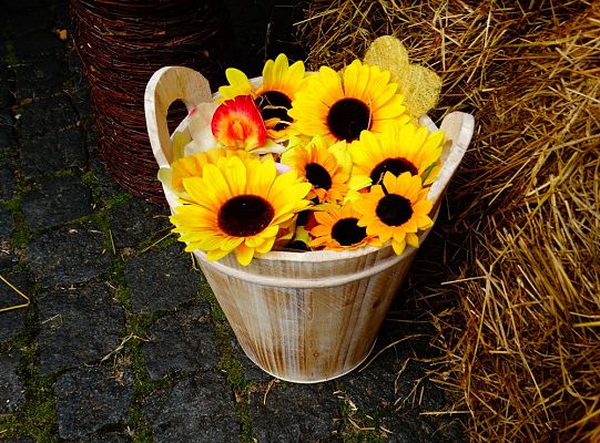 Jesteś na lęborskim „Weselu”. Dziś bawisz się razem z nami! – luka informacyjna