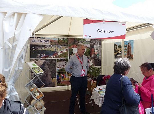 Zespół koncertuje na scenach w różnych rejonach portowego miasta