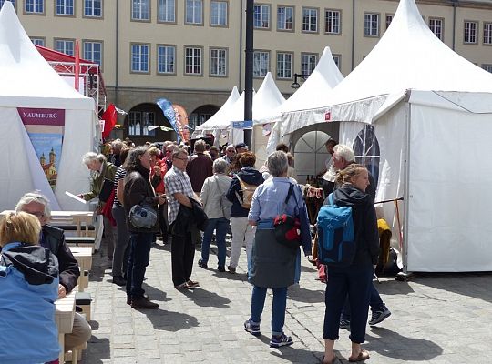 Zespół koncertuje na scenach w różnych rejonach portowego miasta