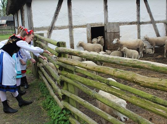 Zdrowy styl życia. Ukochanie swojskości. Rola ZPiT ZL na ziemi lęborskiej.