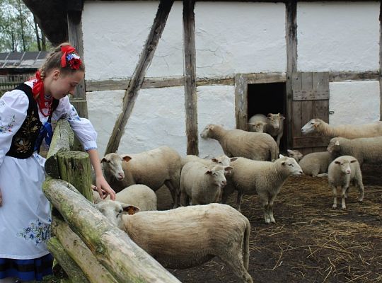 Zdrowy styl życia. Ukochanie swojskości. Rola ZPiT ZL na ziemi lęborskiej.