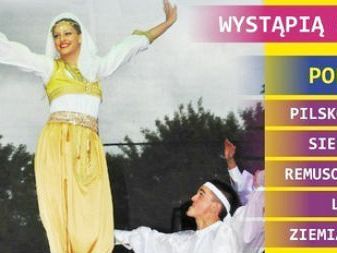 Muzyka Regionów 2013